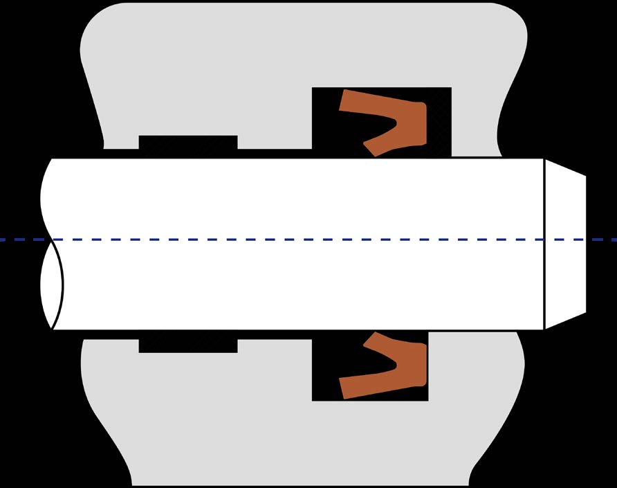 C1