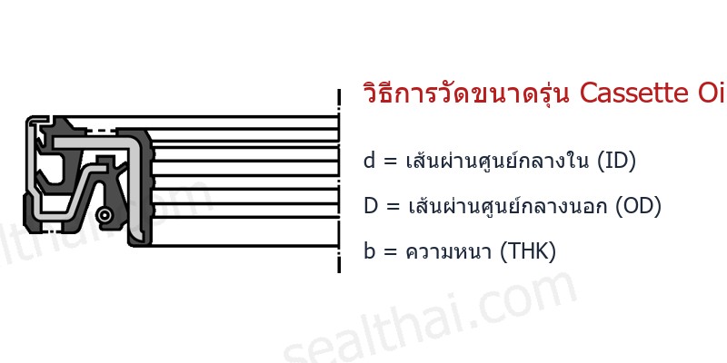 Dimensions Cassette Oil Seal