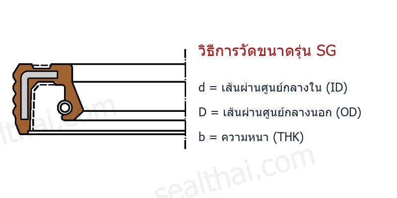 Dimensions SG