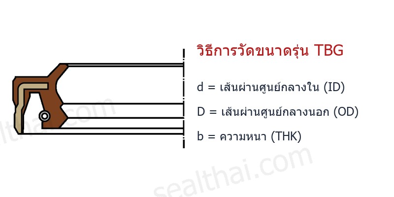 Dimensions TBG