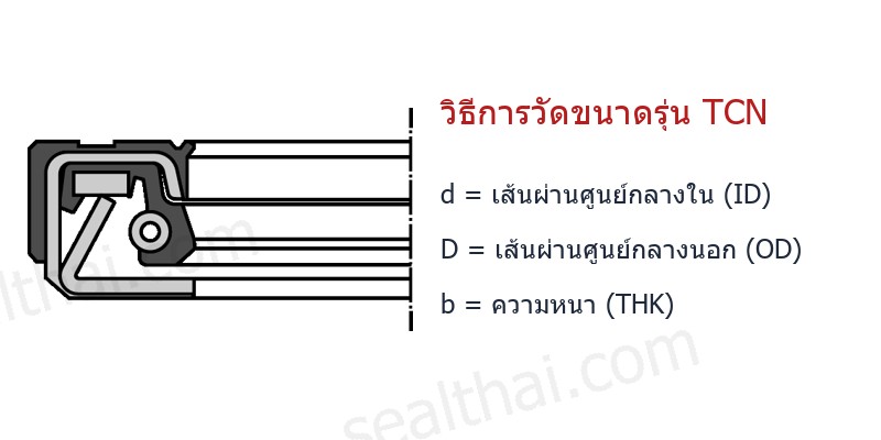 Dimensions TCN