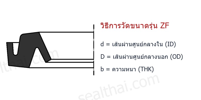 Dimensions ZF