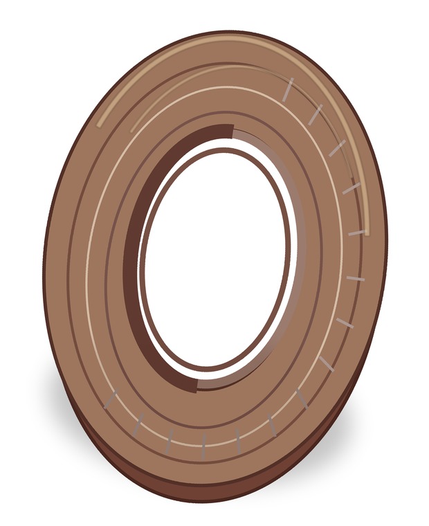 SC Viton