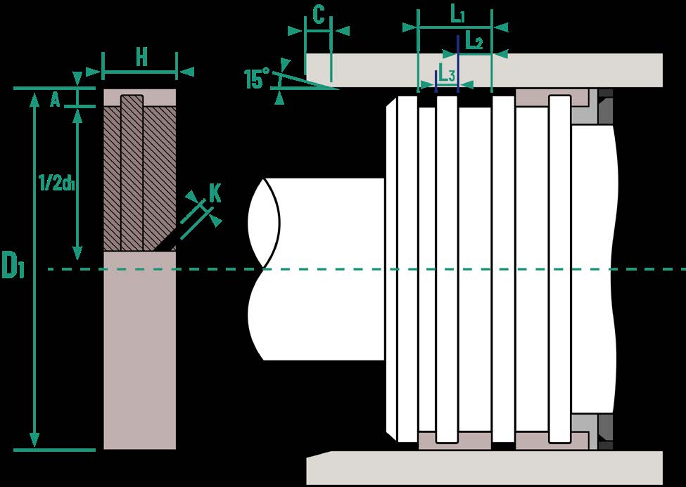 Wiper Seal Model FAI-WR
