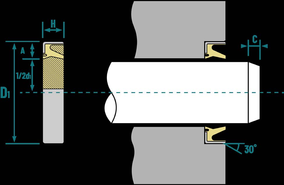 Wiper Seal Model DWI