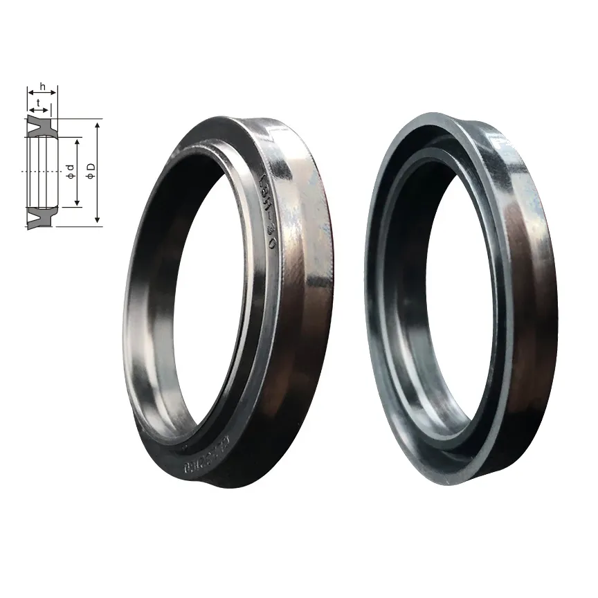 ซีลกันฝุ่นกระบอกไฮดรอลิก รุ่น LBH (Double-Lip Dust Wiper Seal) พร้อมตารางขนาด
